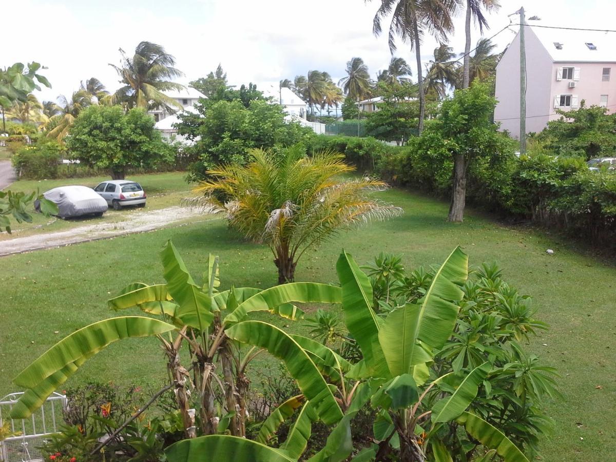 Résidence Corail D N°4 Sainte-Anne (Grande-Terre)